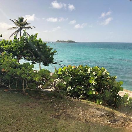 Beau Studio Lumineux Vue Mer Acces Plage Et Piscine Le Gosier  Exterior foto