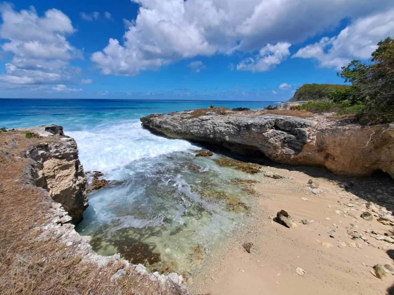 Beau Studio Lumineux Vue Mer Acces Plage Et Piscine Le Gosier  Exterior foto